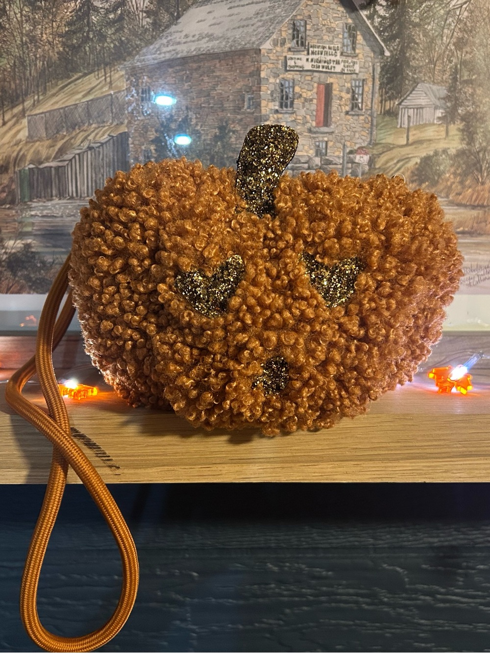 ✨ NWOT Zara Plush Pumpkin Fleece Crossbody Bag ✨